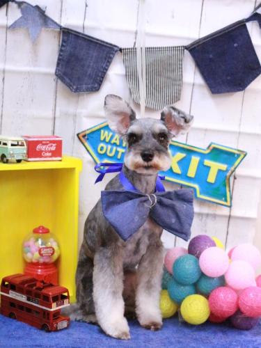 20230426むぎちゃん